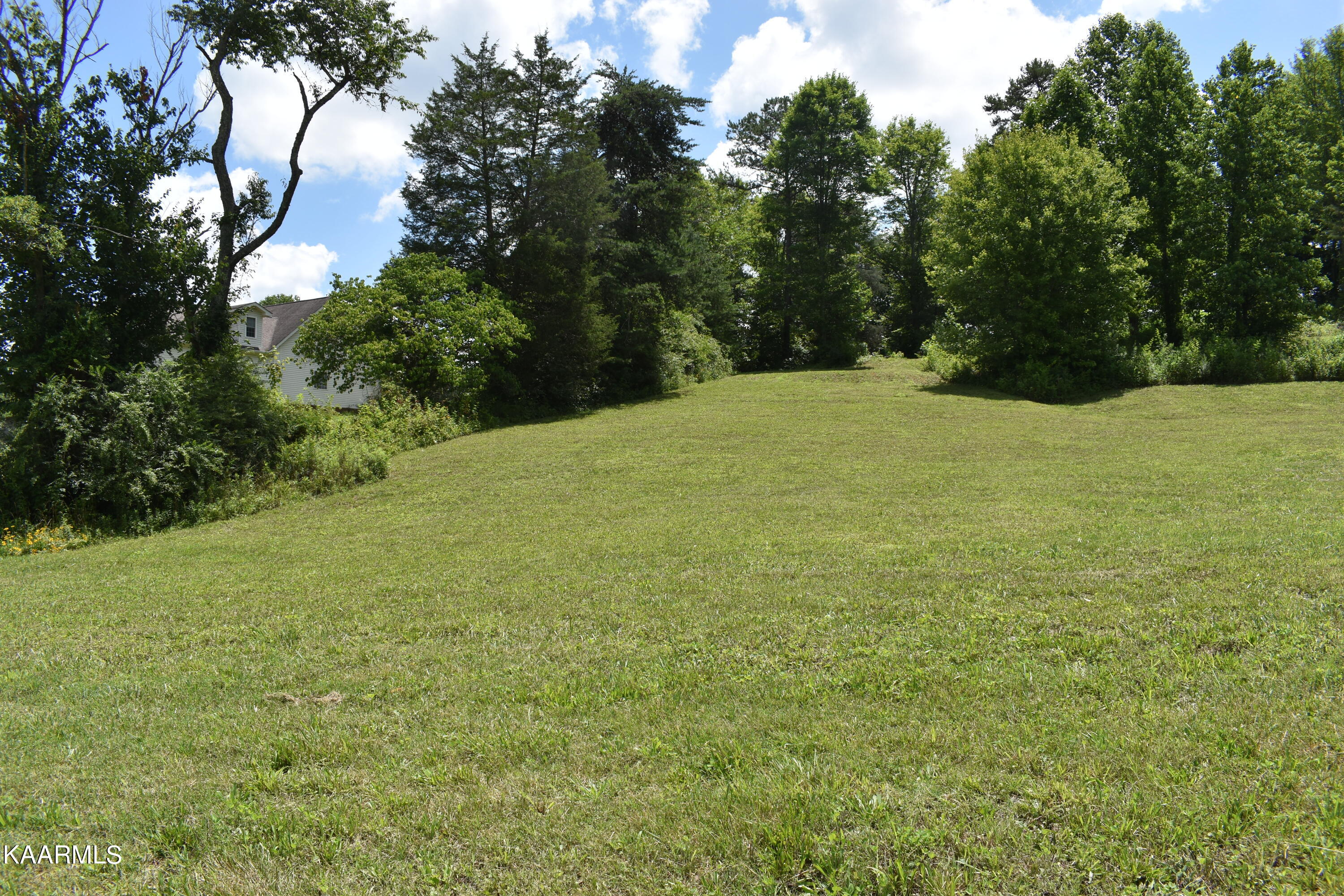Lot 9 Briar Ridge Lane Strawberry Plains, TN 37871 - Photo 3 of 4 DSC_0003