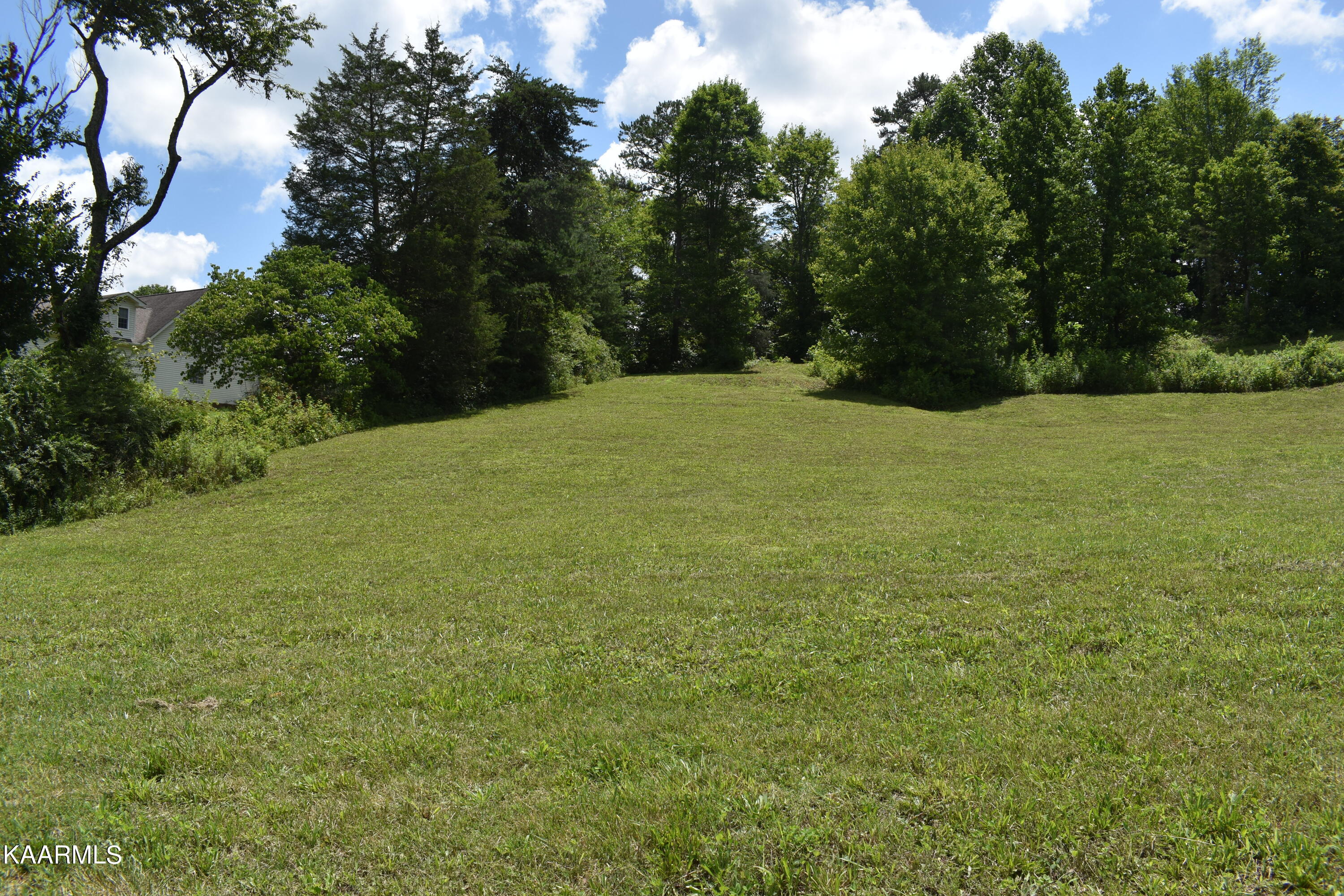 Lot 9 Briar Ridge Lane Strawberry Plains, TN 37871 - Photo 4 of 4 DSC_0004