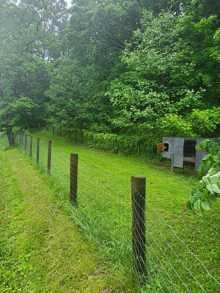 830 Left Fork Road Lucasville, OH 45648 - Photo 17 of 21 Gallery Image 17