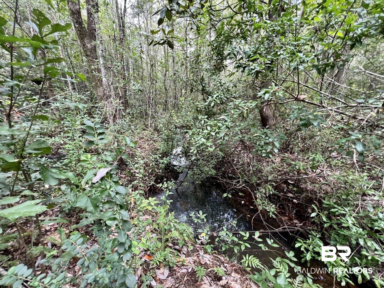 0 Bear Fork Road Mobile, AL 36618 - Photo 38 of 50