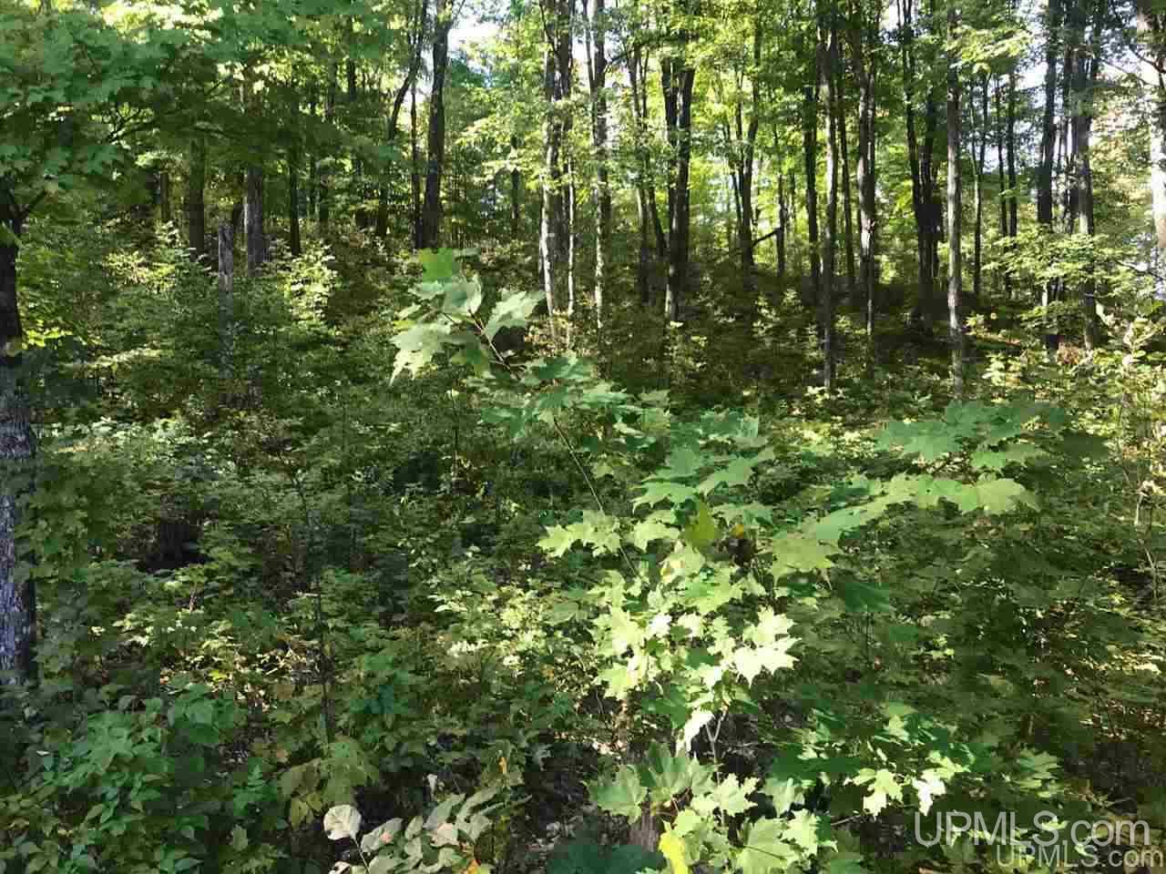Tbd Ford River Road Arnold, MI 49831 - Photo 13 of 22