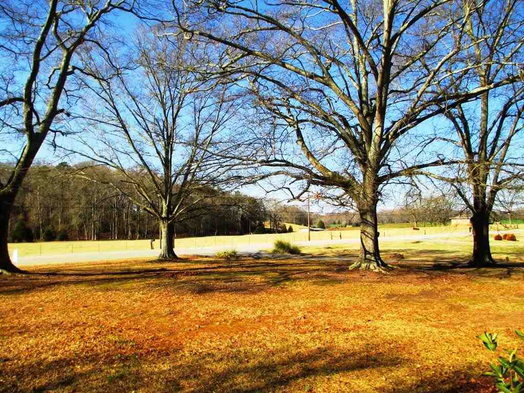 4018 Old Portman Road Anderson, SC 29626 - Photo 28 of 29