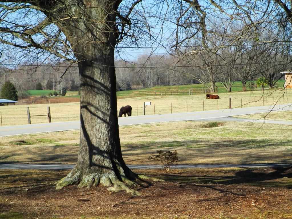 4018 Old Portman Road Anderson, SC 29626 - Photo 29 of 29