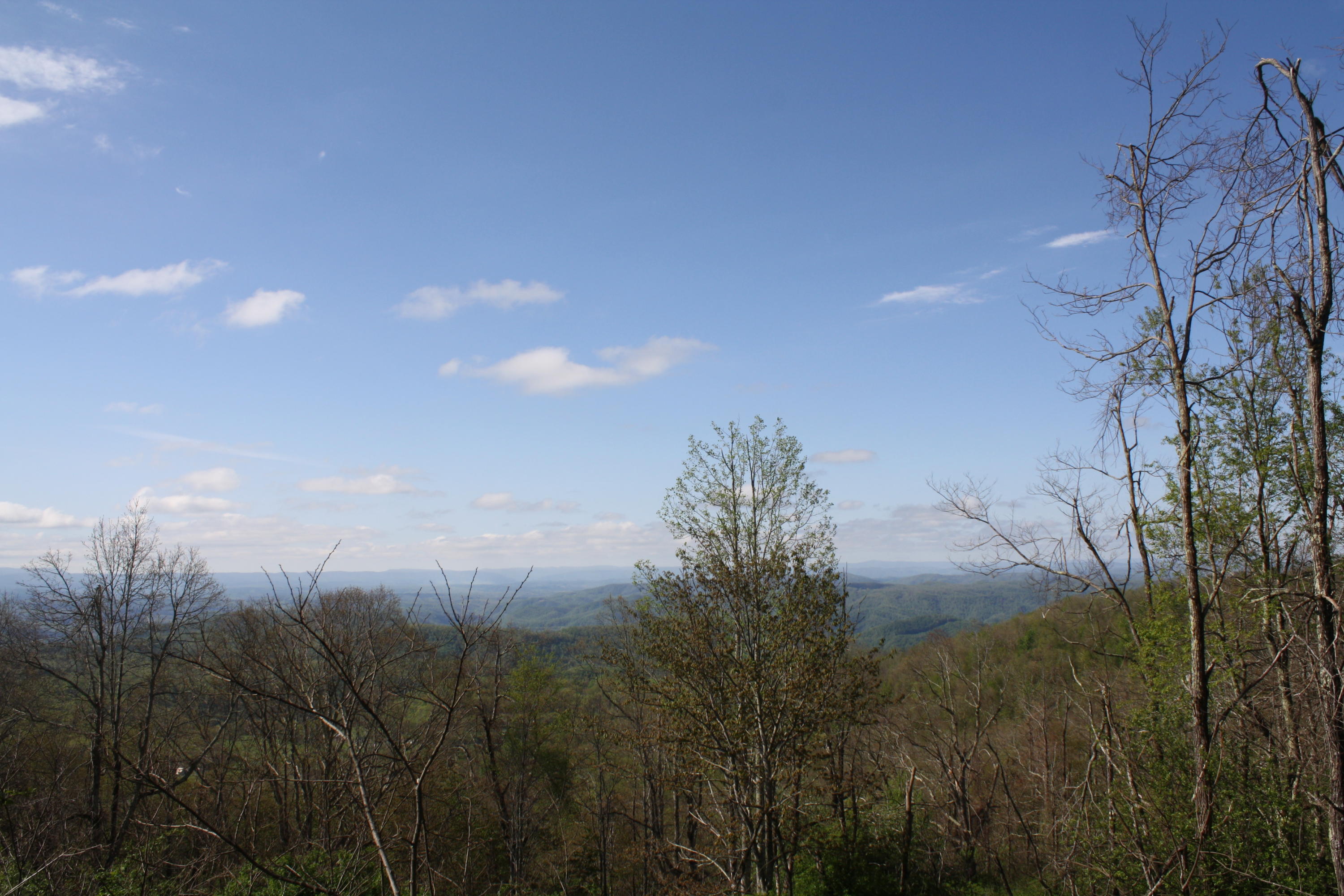 1161 Plumley Mountain Road Sandstone, WV 25985 - Photo 79 of 138 Gallery Image 79