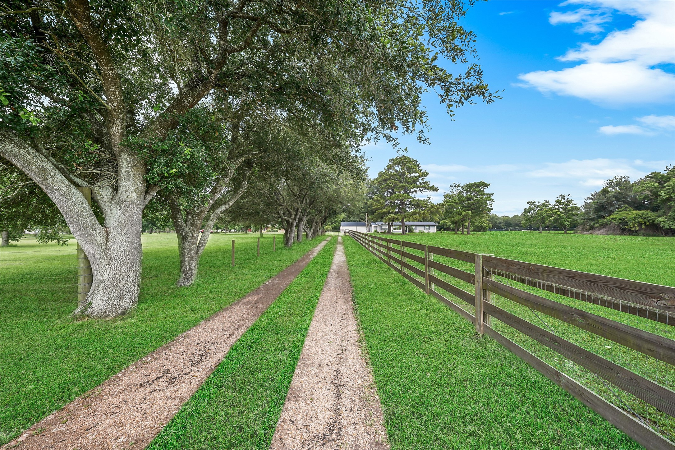 19635 Kermier Road Waller, TX 77484 - Photo 3 of 27 Wood rail fencing borders the private drive, offering a welcoming approach to the property.