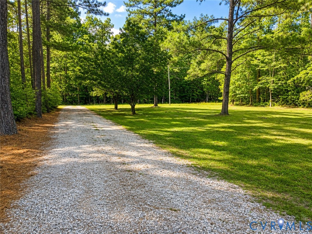 14175 Lebanon Road Disputanta, VA 23842 - Photo 50 of 60 Long driveway to cut down on road noise