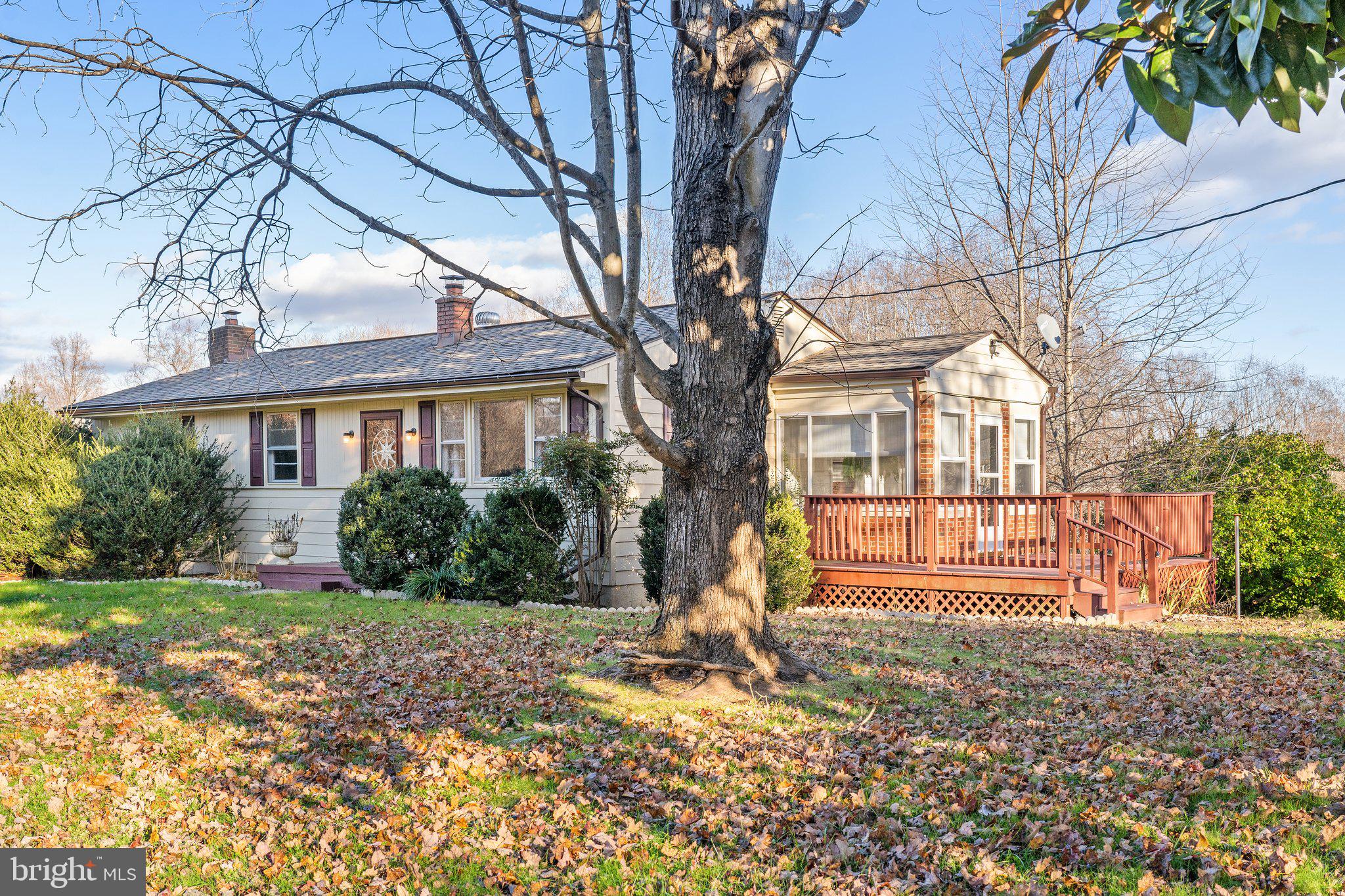 508 Round Hill Road Boston, VA 22713 - Photo 6 of 40 Large tree