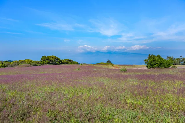 a view of lake and mountain