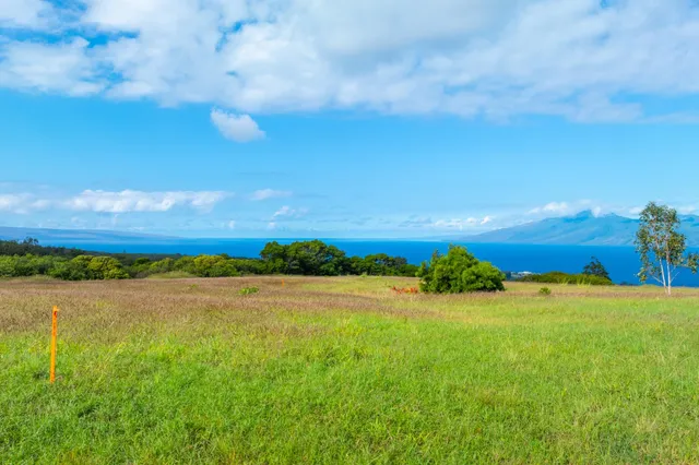 a view of an ocean and beach