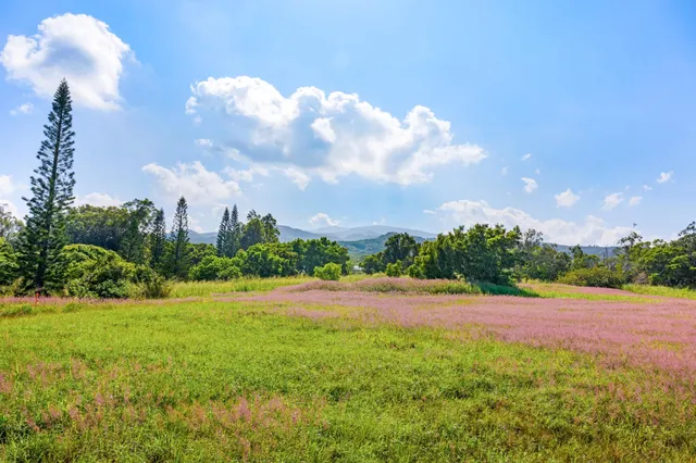 a view of a golf course with a lake