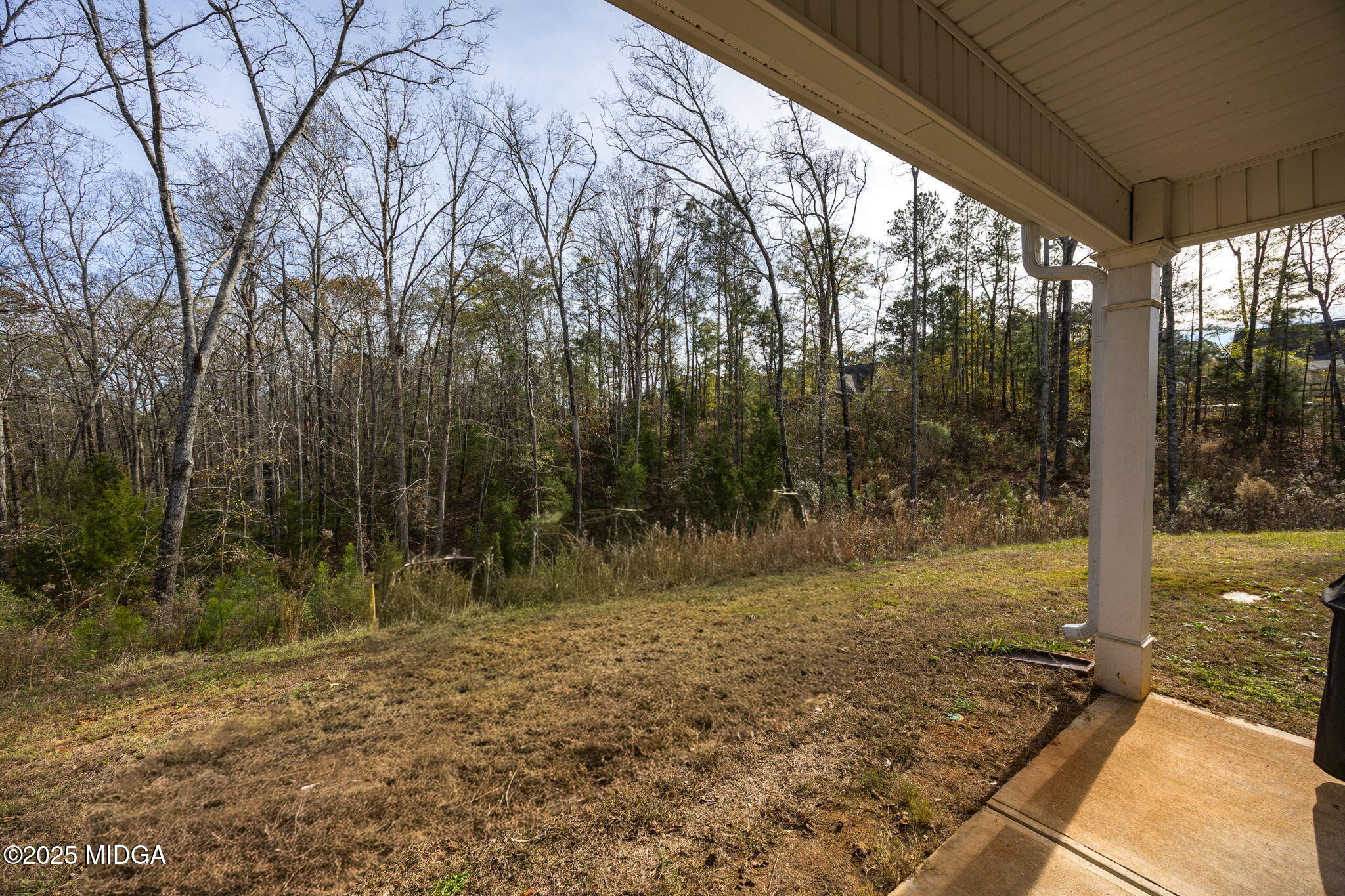 153 Jackson Drive Forsyth, GA 31029 - Photo 24 of 26 a view of a yard with trees