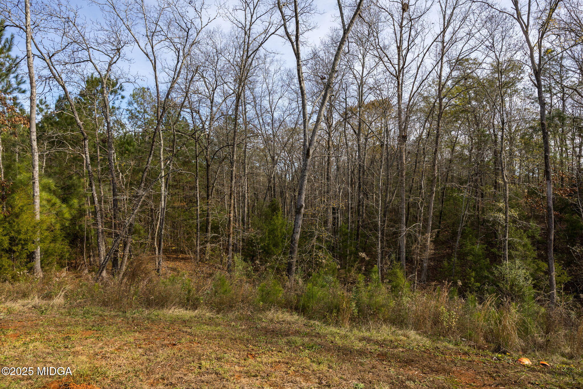 153 Jackson Drive Forsyth, GA 31029 - Photo 25 of 26 a view of a yard