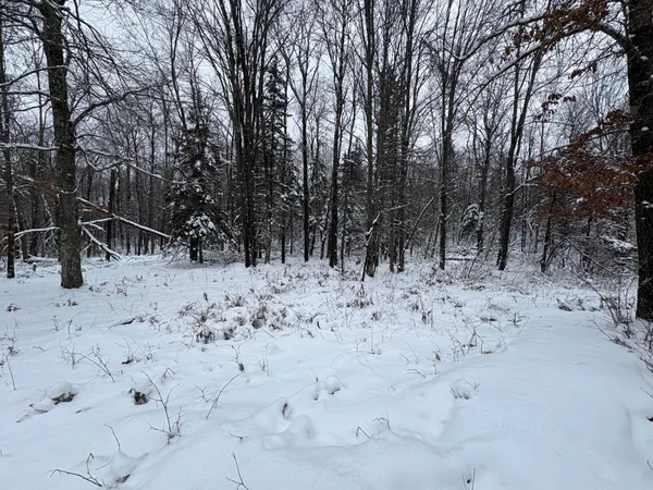 $72,500 | W13470 Eagle River Road, Silver Cliff, WI 54104