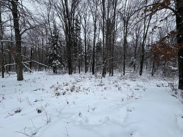 $72,500 | W13470 Eagle River Road, Silver Cliff, WI 54104