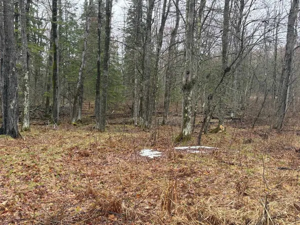 $72,500 | W13470 Eagle River Road, Silver Cliff, WI 54104