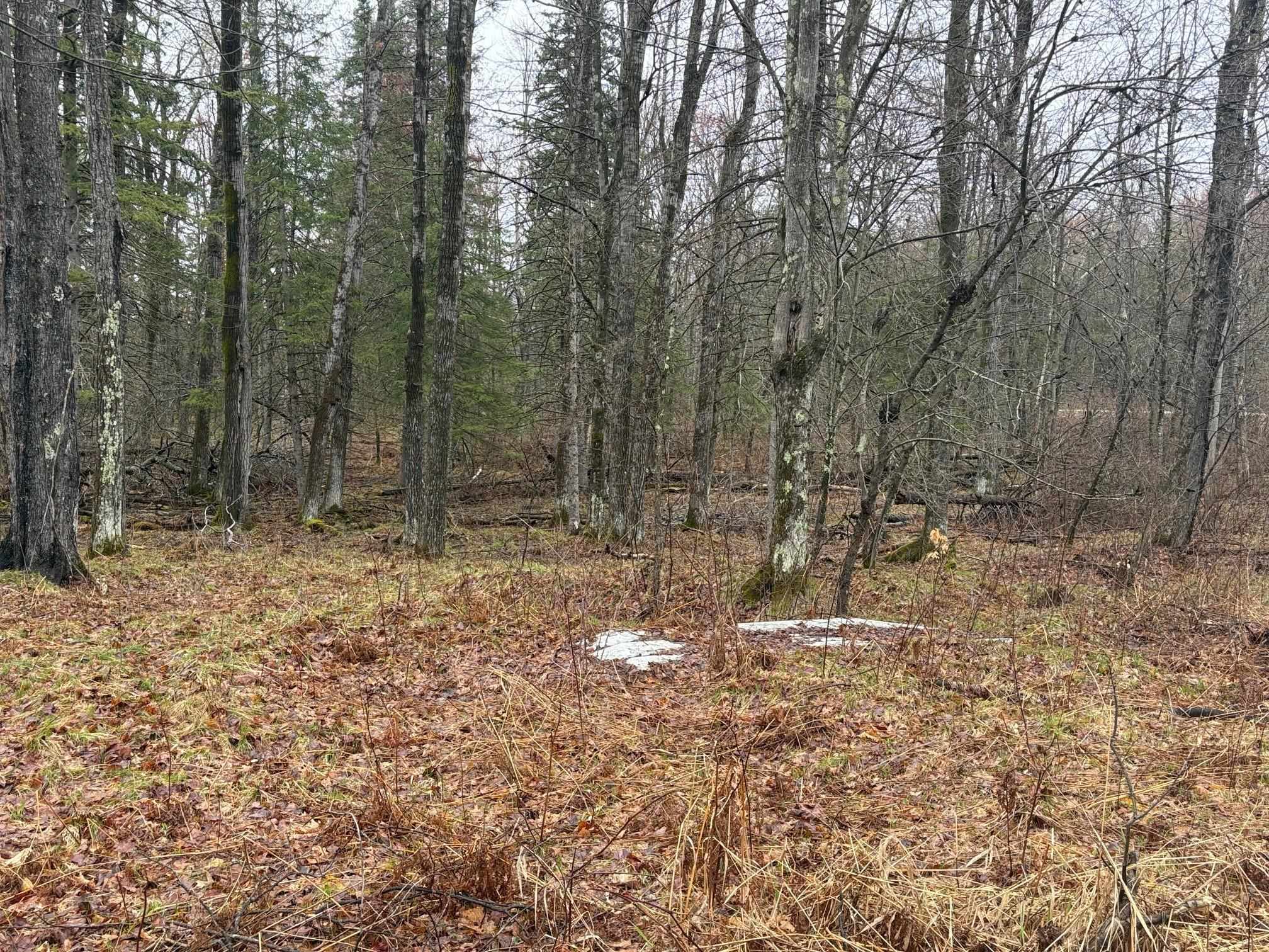 W13470 Eagle River Road Silver Cliff, WI 54104 - Photo 13 of 18