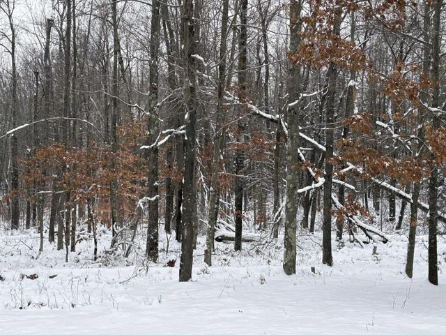 $72,500 | W13470 Eagle River Road, Silver Cliff, WI 54104