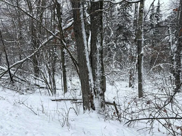 $72,500 | W13470 Eagle River Road, Silver Cliff, WI 54104