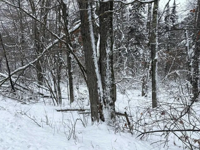 $72,500 | W13470 Eagle River Road, Silver Cliff, WI 54104