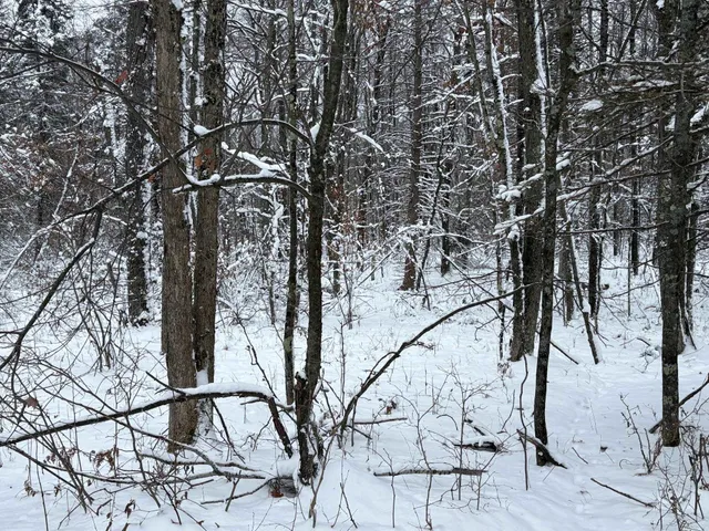 $72,500 | W13470 Eagle River Road, Silver Cliff, WI 54104