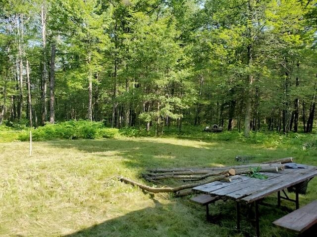 W13470 Eagle River Road Silver Cliff, WI 54104 - Photo 18 of 18