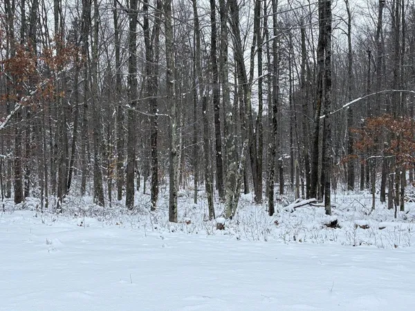 $72,500 | W13470 Eagle River Road, Silver Cliff, WI 54104