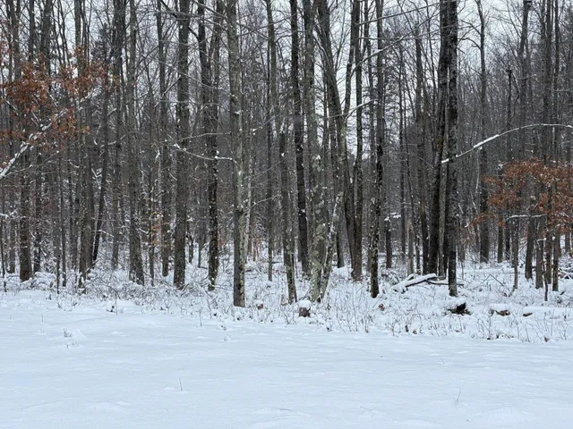 $72,500 | W13470 Eagle River Road, Silver Cliff, WI 54104