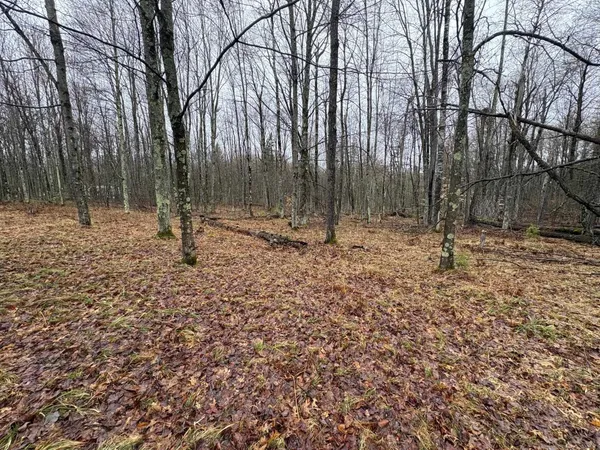 $72,500 | W13470 Eagle River Road, Silver Cliff, WI 54104