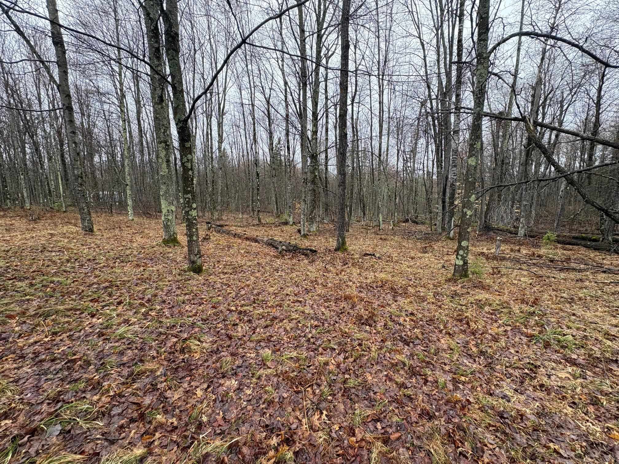 W13470 Eagle River Road Silver Cliff, WI 54104 - Photo 3 of 18