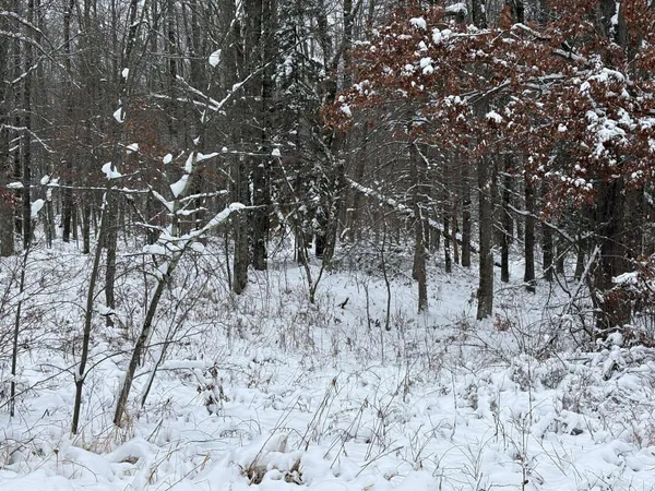 $72,500 | W13470 Eagle River Road, Silver Cliff, WI 54104