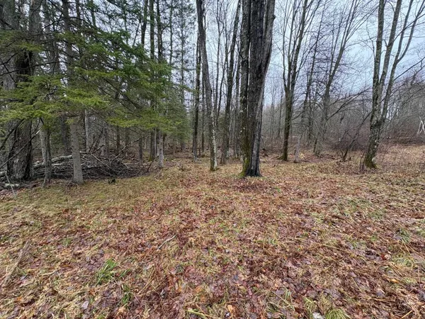 $72,500 | W13470 Eagle River Road, Silver Cliff, WI 54104