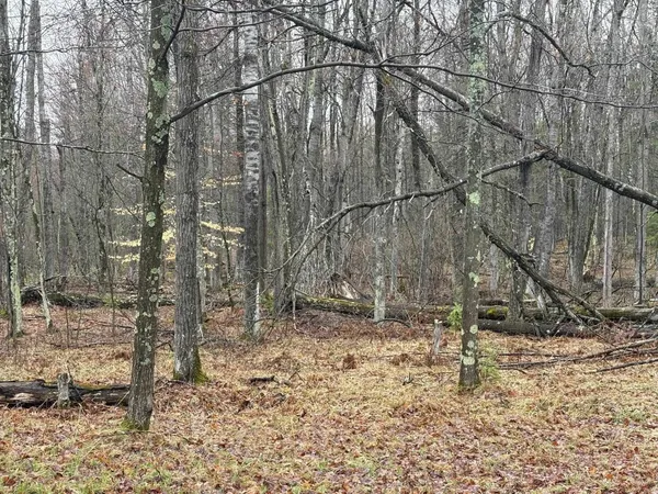$72,500 | W13470 Eagle River Road, Silver Cliff, WI 54104