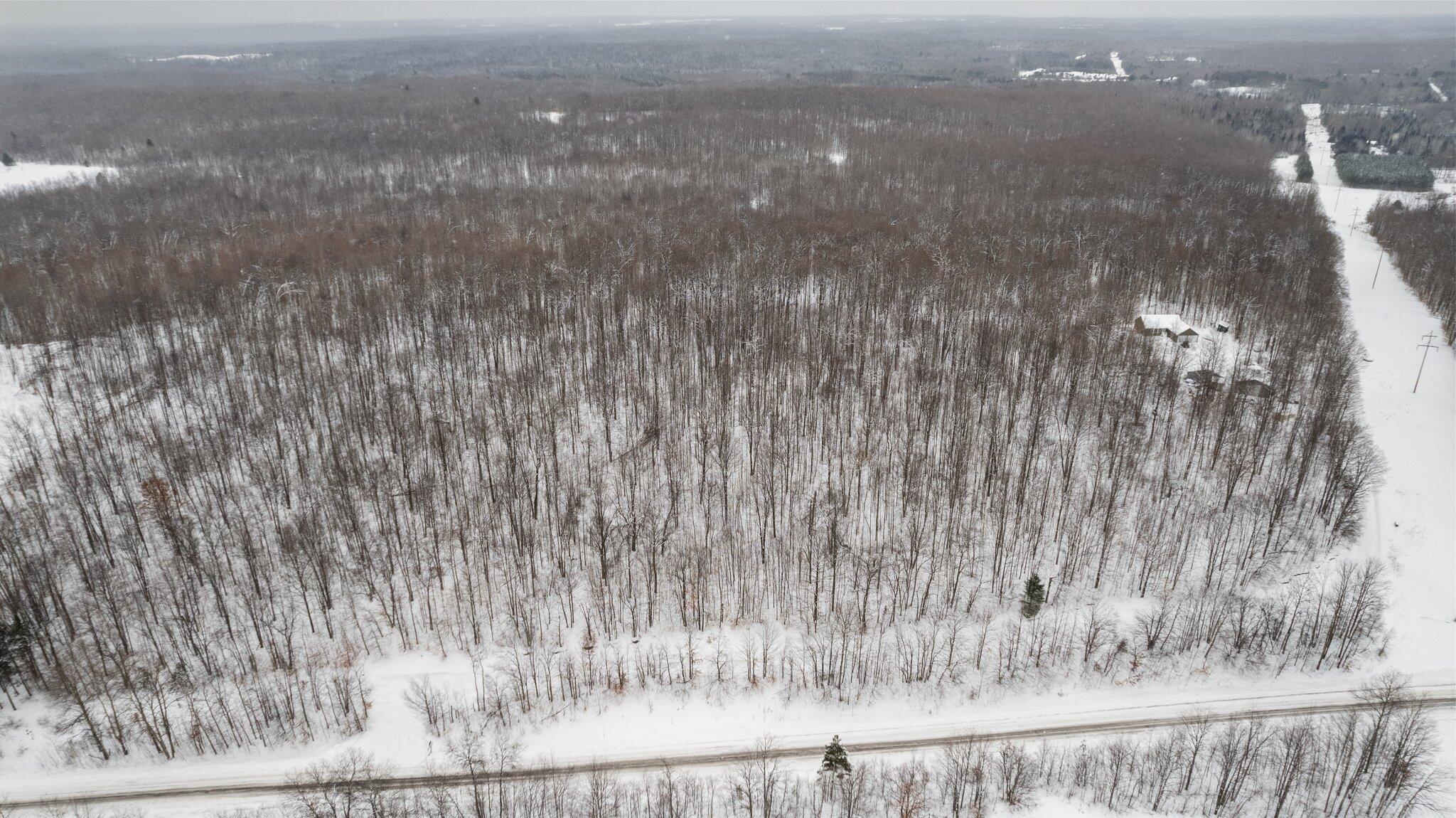 20-acres Brudy Road Wolverine, MI 49799 - Photo 8 of 18 Gallery Image 8