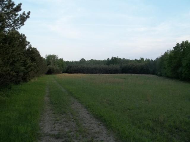 4286 Mortimer Line Road Croswell, MI 48422 - Photo 25 of 25 31096196-25.JPG