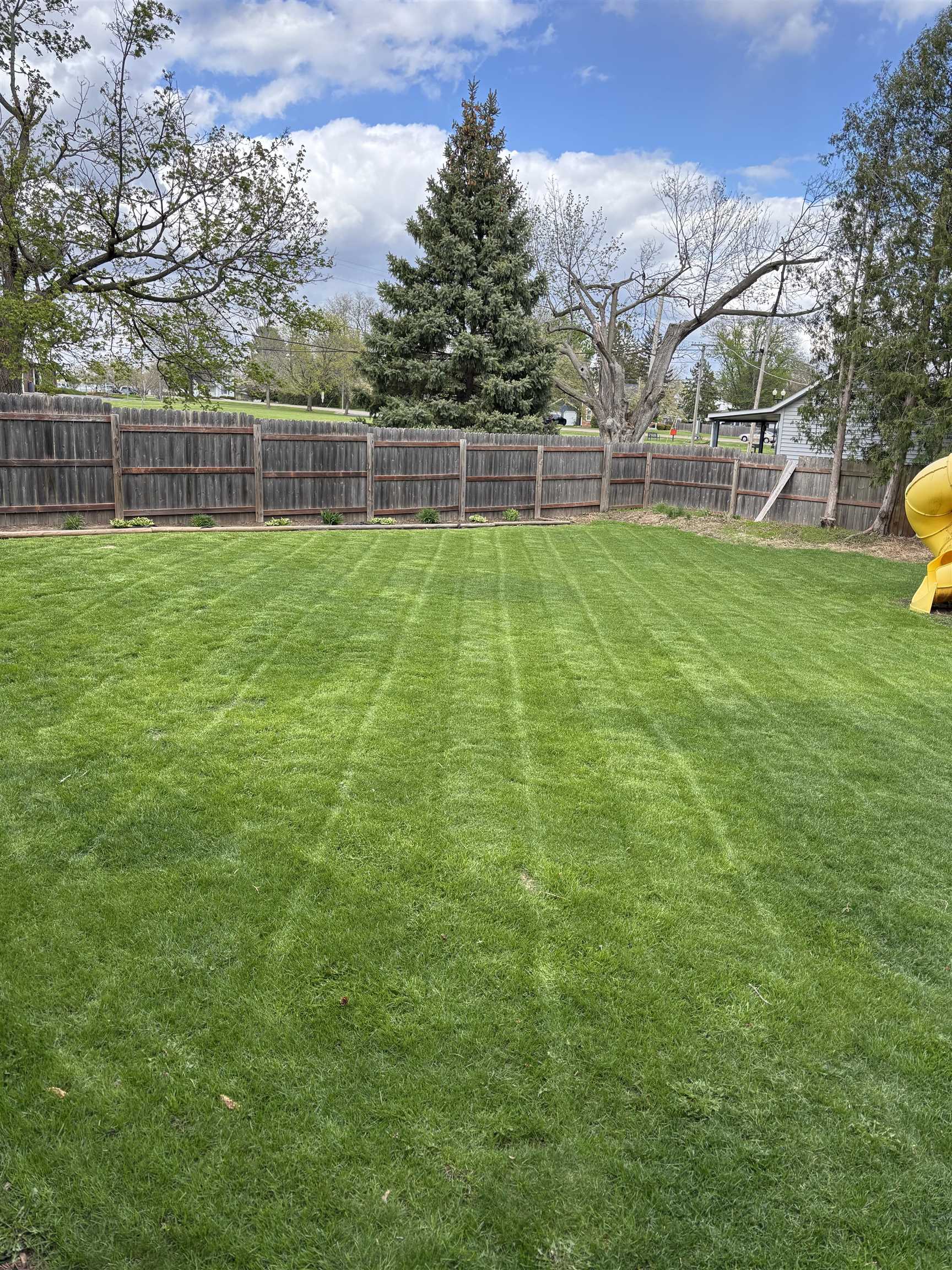 732 West 2nd Street Byron, IL 61010 - Photo 6 of 22 a view of yard with trampoline