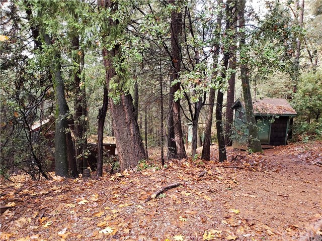 1 Summerwind Forest Ranch, CA 95942 - Photo 13 of 24 Gallery Image 13
