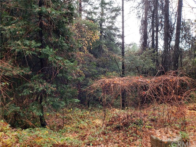 1 Summerwind Forest Ranch, CA 95942 - Photo 21 of 24 Gallery Image 21
