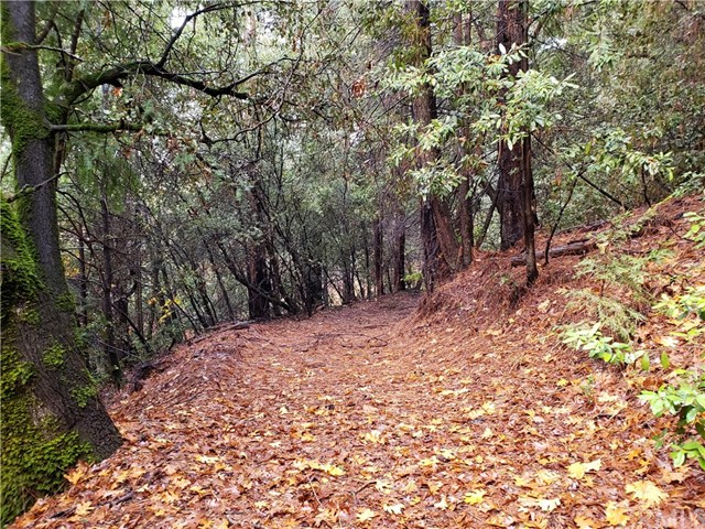 1 Summerwind Forest Ranch, CA 95942 - Photo 24 of 24 Gallery Image 24