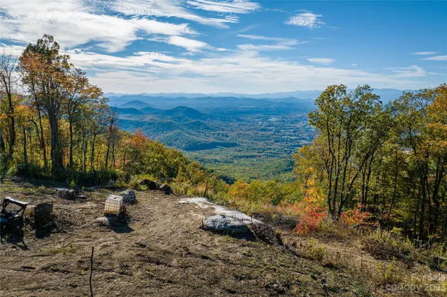 a view of a yard with wooden fence