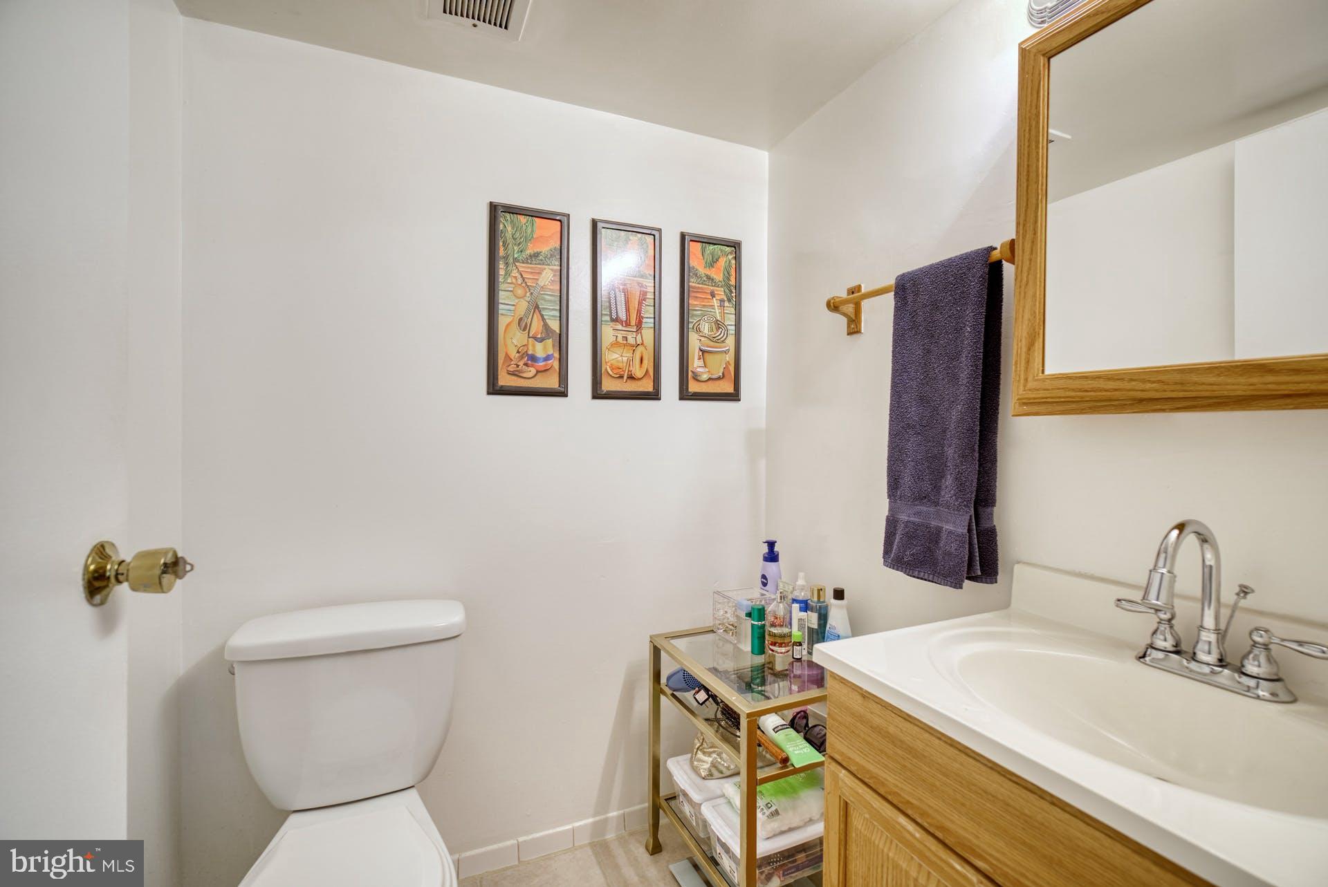 11236 Chestnut Grove Square, Unit 11236164 Reston, VA 20190 - Photo 12 of 45 Half Bathroom in Primary Bedroom