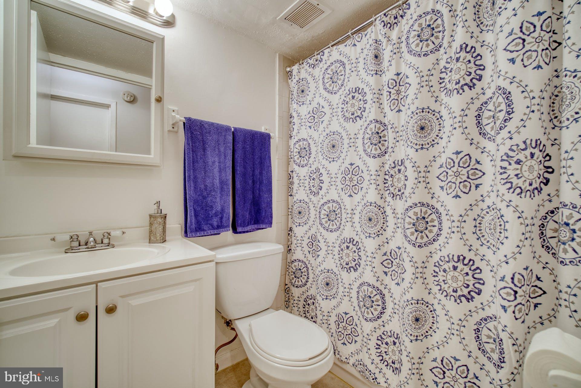 11236 Chestnut Grove Square, Unit 11236164 Reston, VA 20190 - Photo 15 of 45 Full Bathroom