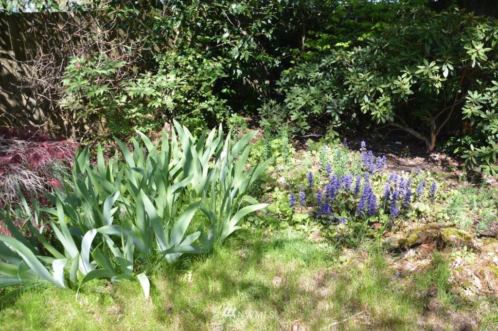121 Raintree Loop Southeast Rainier, WA 98576 - Photo 23 of 25 Gallery Image 23