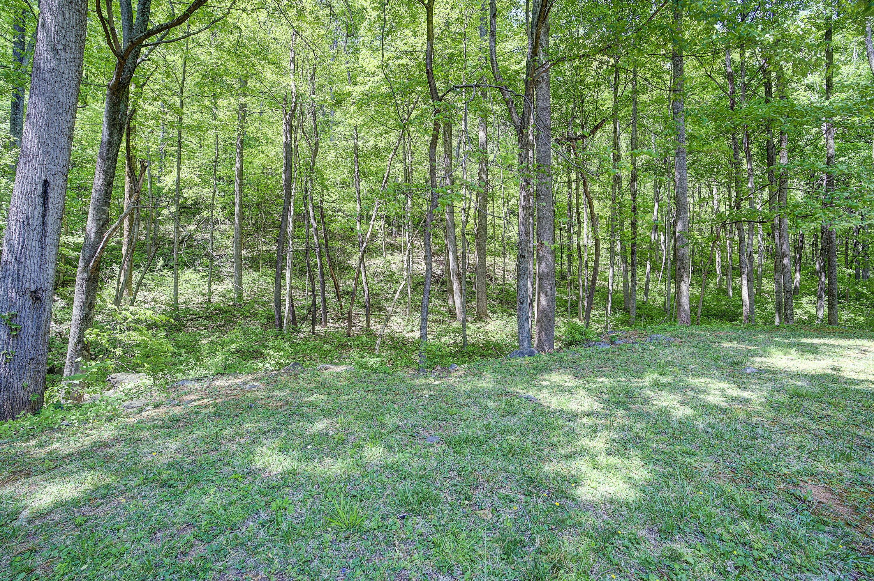 341 Clark Road Bristol, TN 37620 - Photo 40 of 44 Clark-Land-37