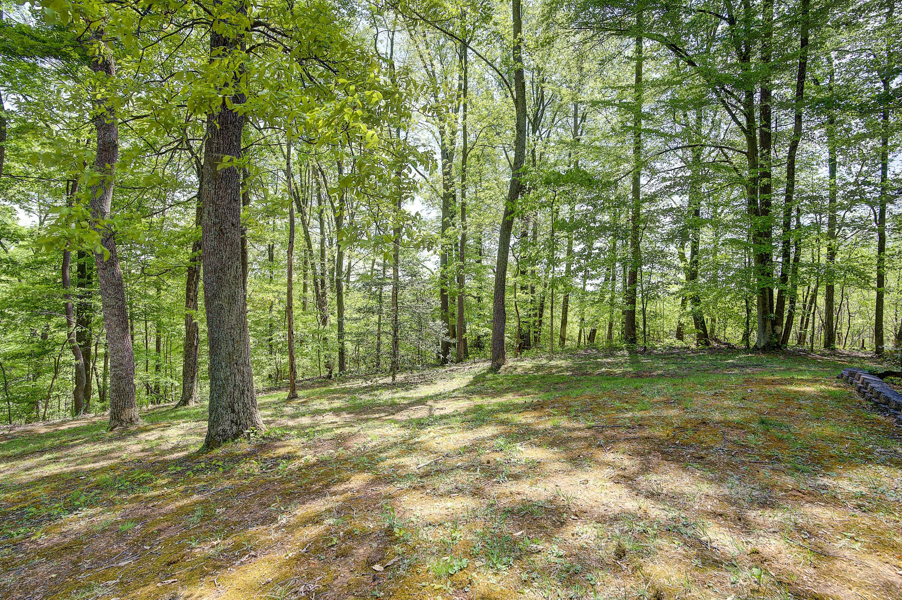 341 Clark Road Bristol, TN 37620 - Photo 42 of 44 Clark-Land-33