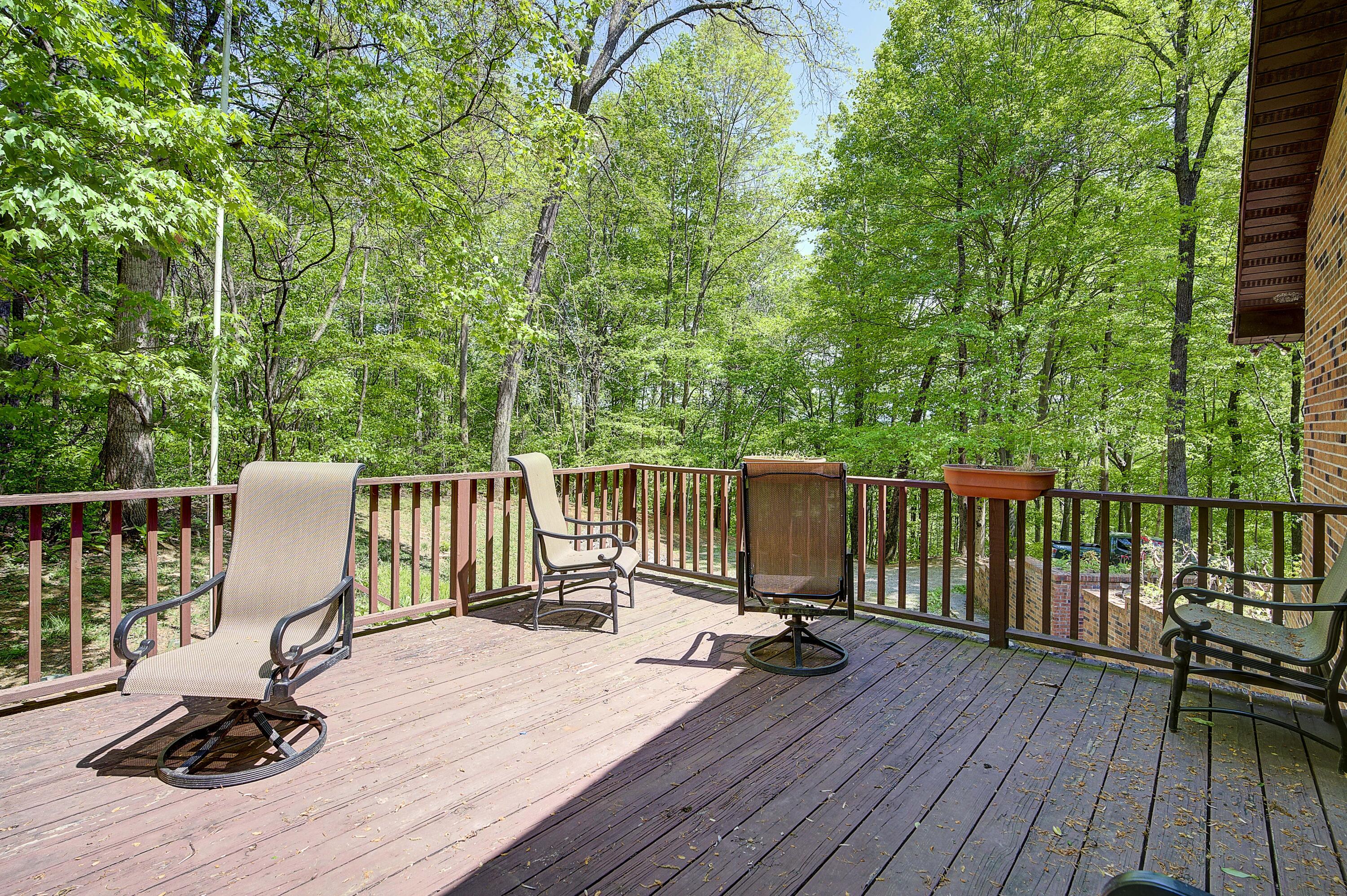 341 Clark Road Bristol, TN 37620 - Photo 8 of 44 Clark-Land-41