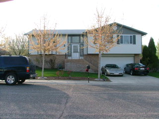 Main View