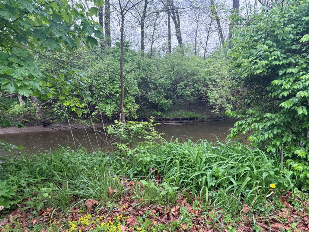 121 State Route, Unit 10570 New Paris, OH 45347 - Photo 4 of 8 This serene waterfront lot offers a tranquil escape amidst lush natural surroundings.