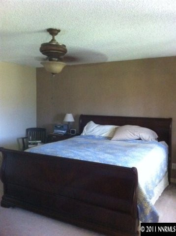 1383 Antelope Valley Road Reno, NV 89506 - Photo 5 of 13 a bedroom with a bed and a chandelier