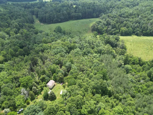 a view of a lush green forest with trees and houses