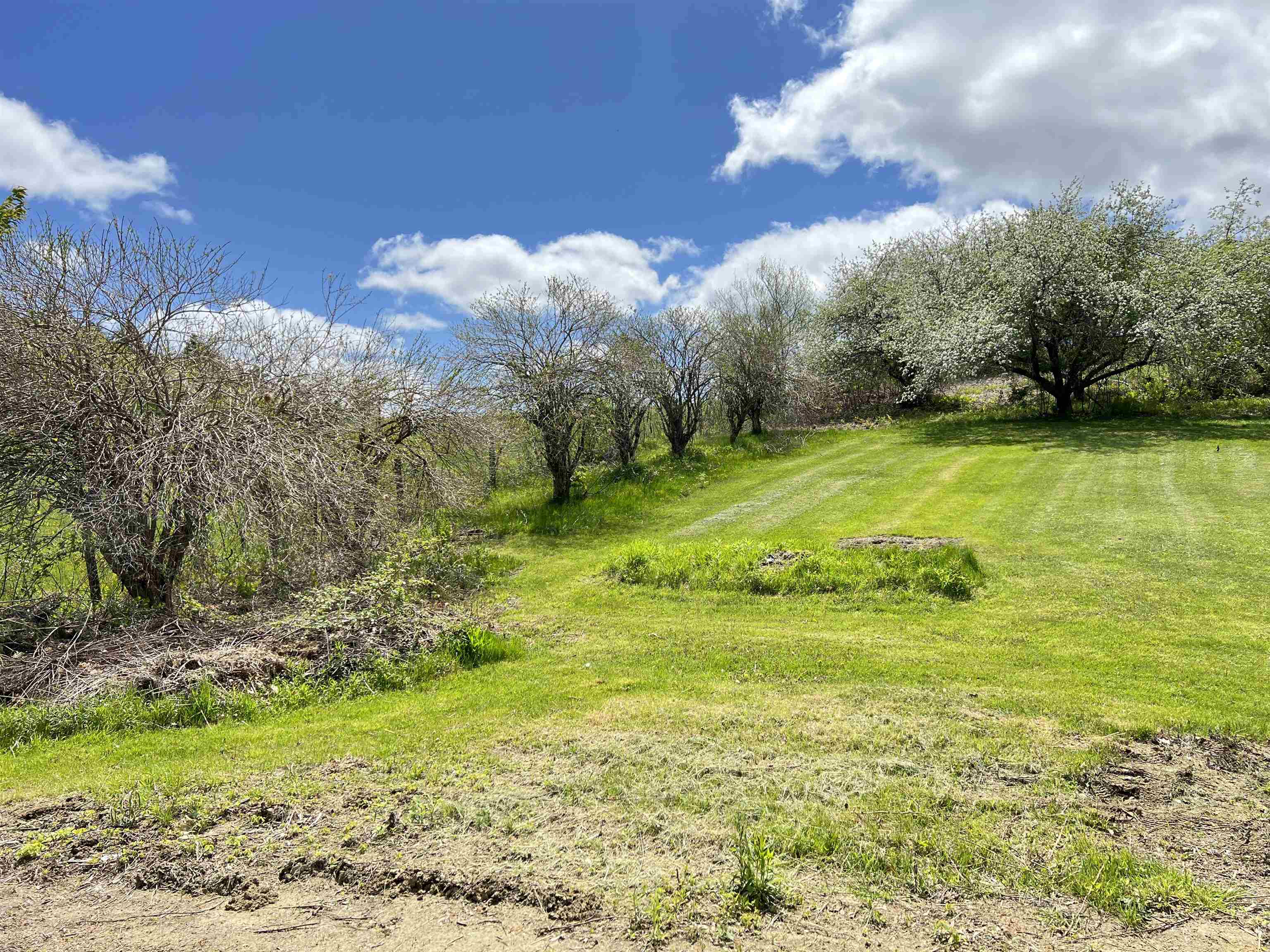 58 Derry Hill Road Walpole, NH 03608 - Photo 5 of 29